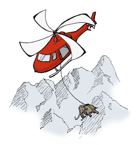Helicopter Mammoth