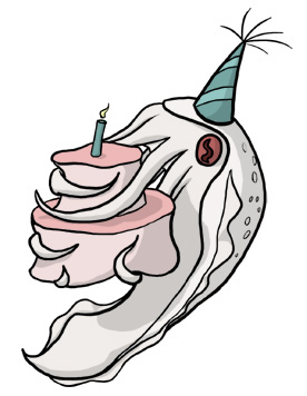 Albino Kraken Birthday