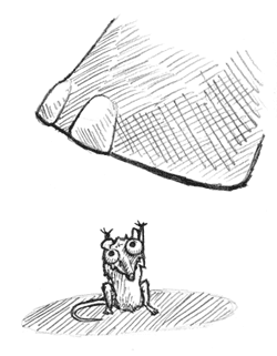 Mouse and Foot