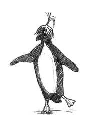 Penguin and Hair